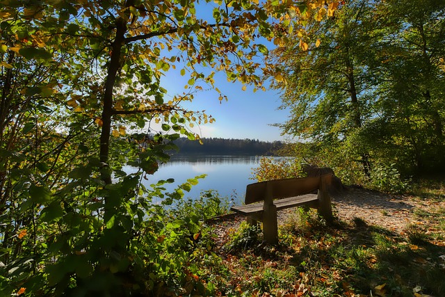 当比分一度 当比分一度