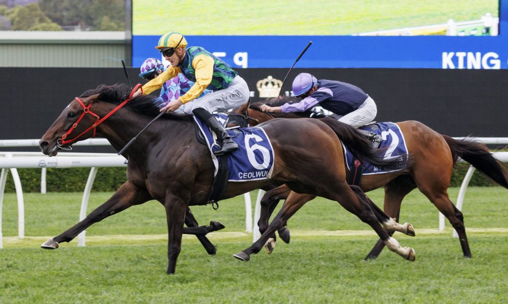 雨中打篮球 雨中打篮球