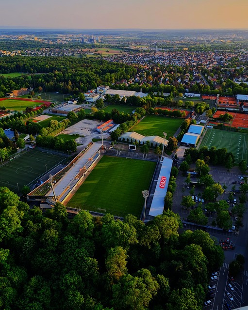 制定出一个 制定出一个