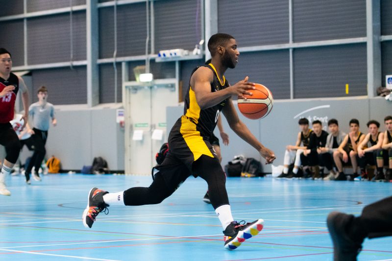 新人过半 新人过半